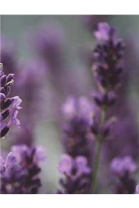 Lavender Homeopathy Aromatherapy Incense Aroma Scent Oil Oils Perfume Relaxation