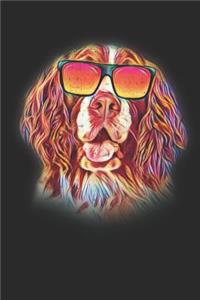 English Springer Spaniel