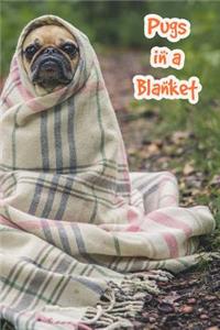 Pugs in a Blanket
