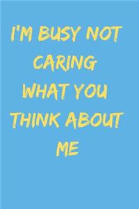 I'm Busy Not Caring What You Think of Me