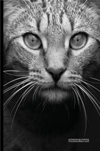 Journal Pages - Cat Eyes (Bullet Journal): 6