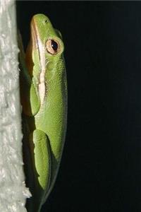 Green Tree Frog Notebook