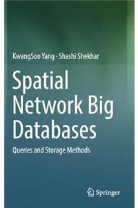 Spatial Network Big Databases