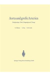 Aorta Und Große Arterien