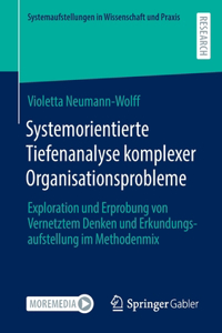 Systemorientierte Tiefenanalyse Komplexer Organisationsprobleme