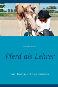 Pferd als Lehrer