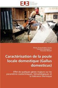 Caractérisation de la Poule Locale Domestique (Gallus Domesticus)