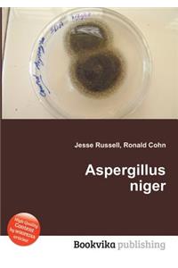 Aspergillus Niger