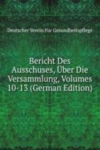 Bericht Des Ausschuses, Uber Die Versammlung, Volumes 10-13 (German Edition)