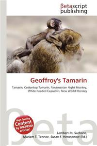 Geoffroy's Tamarin