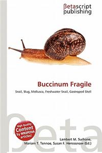 Buccinum Fragile
