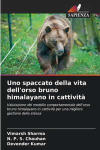 Uno spaccato della vita dell'orso bruno himalayano in cattività