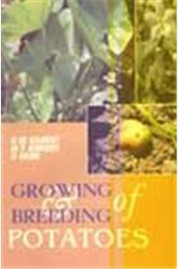 Growing And Breeding Of Potatoes