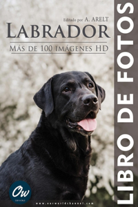 Labrador: Libro de fotos - Más de 100 imágenes HD