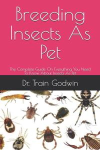 Breeding Insects As Pet