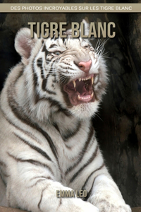 Tigre blanc