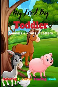 Animal & Fruit Coloring & Letter Tracing Book
