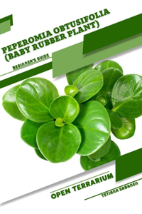 Peperomia obtusifolia (Baby Rubber Plant)