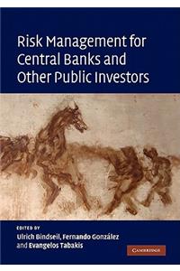 Risk Management for Central Banks and Other Public Investors