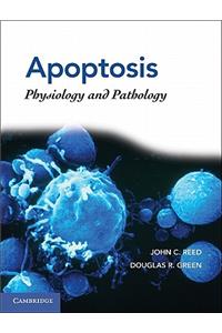 Apoptosis: Physiology and Pathology
