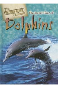 Secret Lives of Dolphins