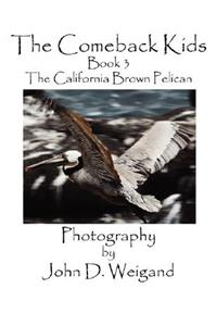 Comeback Kids, Book 3, the California Brown Pelican