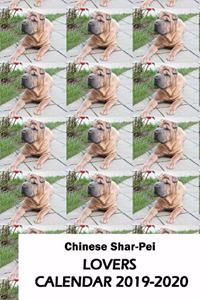 Chinese Shar-Pei Lovers Calendar 2019-2020