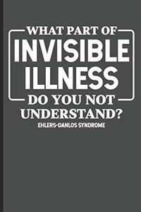What part of Invisible Illness Do You Not Understand?