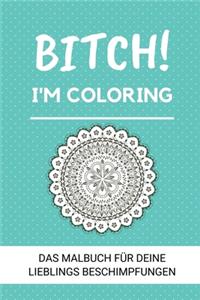 Bitch! I'm Coloring Das Malbuch Für Deine Lieblings Beschimpfungen