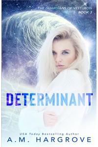 Determinant