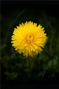 A Sunshine Yellow Dandelion Journal