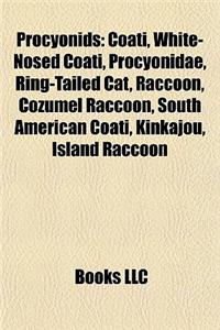 Procyonids: Coati, White-Nosed Coati, Procyonidae, Ring-Tailed Cat, Raccoon, Cozumel Raccoon, South American Coati, Kinkajou, Isla