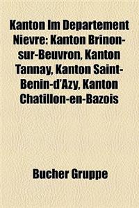 Kanton Im Departement Nievre