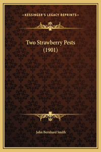 Two Strawberry Pests (1901)