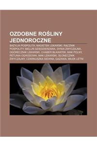 Ozdobne Ro Liny Jednoroczne