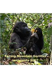 Facing Mountain Gorillas in Uganda 2017