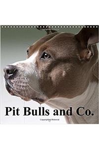 Pit Bulls and Co. 2018