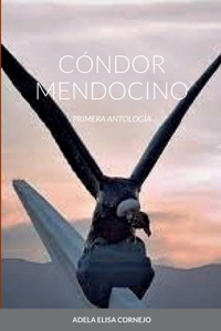 Cóndor Mendocino