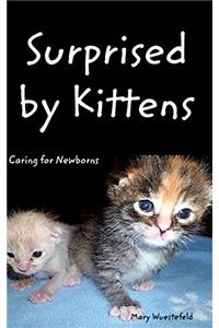 Surprised by Kittens