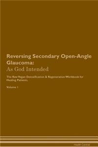 Reversing Secondary Open-Angle Glaucoma: As God Intended the Raw Vegan Plant-Based Detoxification & Regeneration Workbook for Healing Patients. Volume 1