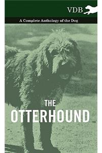 The Otterhound - A Complete Anthology of the Dog
