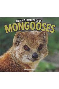 Mongooses