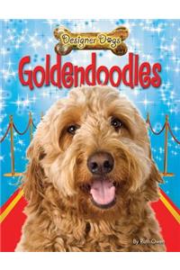 Goldendoodles
