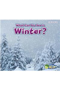 Seasons What Can You See in Winter?