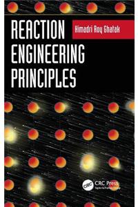 Reaction Engineering Principles