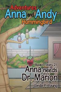 The Adventures of Anna and Andy Hummingbird