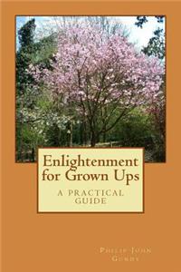 Enlightenment for Grown Ups: A Practical Guide