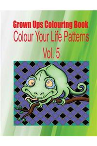 Grown Ups Colouring Book Color Your Life Patterns Vol. 5 Mandalas