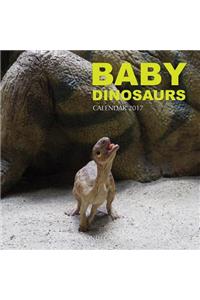 Baby Dinosaurs Calendar 2017