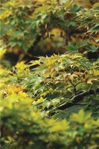 Eastern Maple Tree Notebook